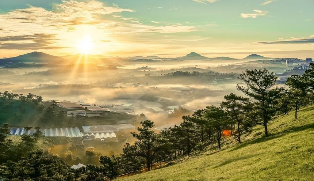 Vẻ đẹp của Đồi Đa Phú Đà Lạt với ánh mặt trời chiếu sáng cả một góc trời
