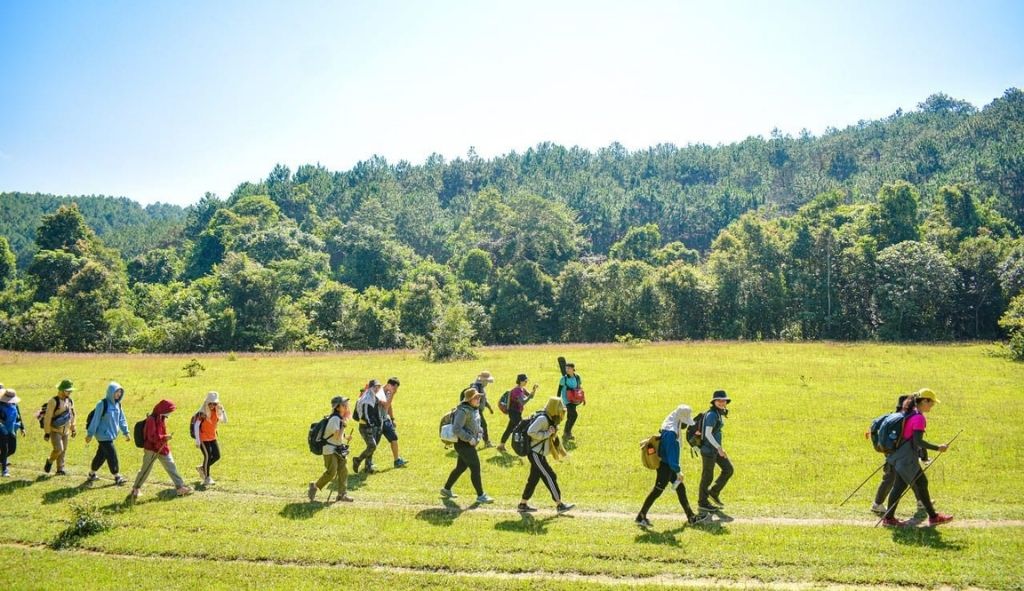 Nhóm du khách trekking giữa đồng cỏ và rừng thông xanh tại Đà Lạt