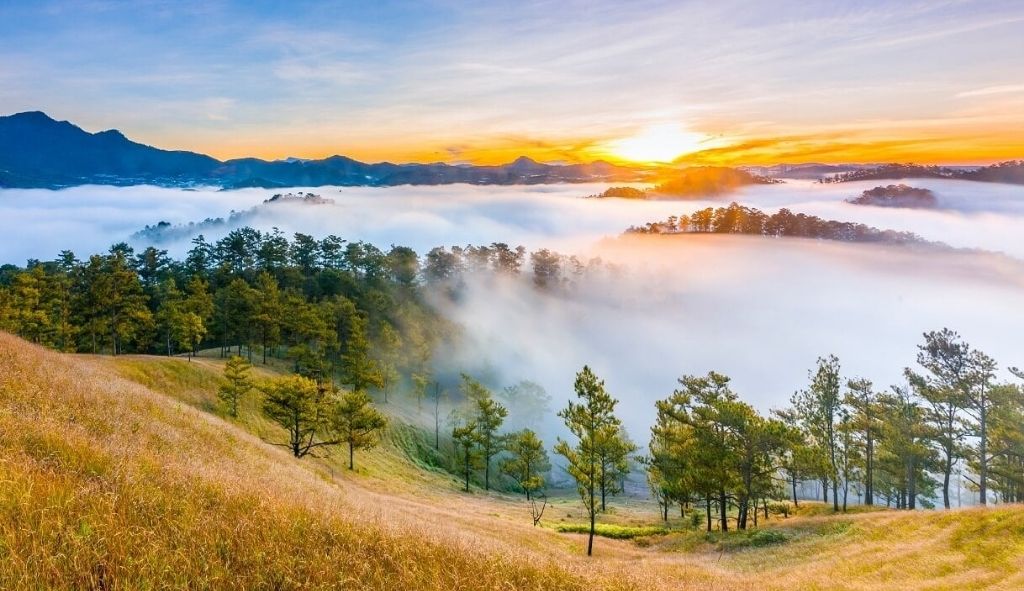 Thung lũng Vàng với rừng thông giữa thiên nhiên Đà Lạt