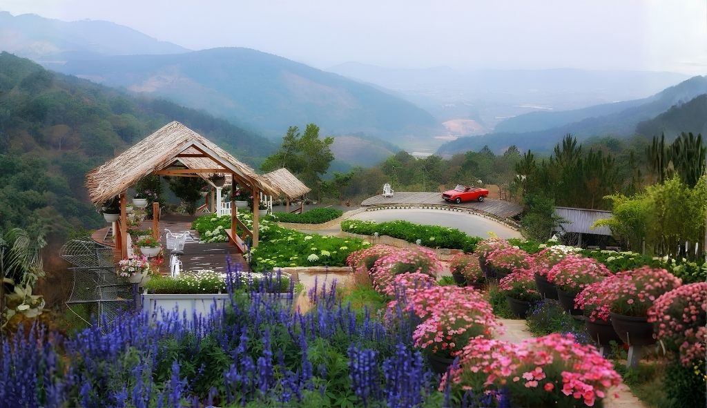 Cao Nguyên Hoa với không gian ngập tràn sắc hoa giữa thiên nhiên Đà Lạt