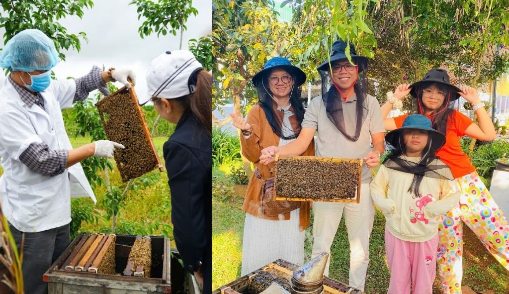 Du khách được trực tiếp tìm hiểu quy trình nuôi ong mật tự nhiên các Trang Trại Ong - Bee Farm