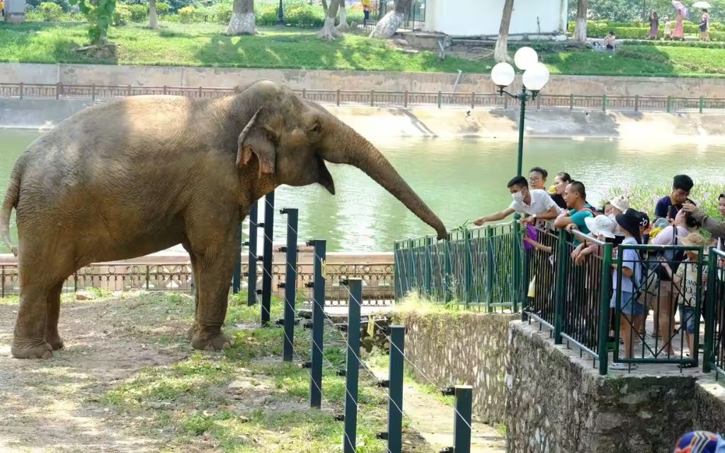 Địa điểm vui chơi Hà Nội - Công viên Thủ Lệ
