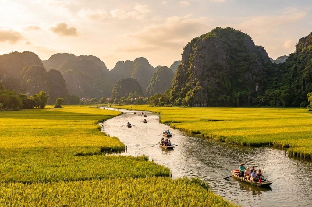 Thuyền tham quan Tam Cốc trên sông Ngô Đồng giữa cánh đồng lúa vàng Ninh Bình 