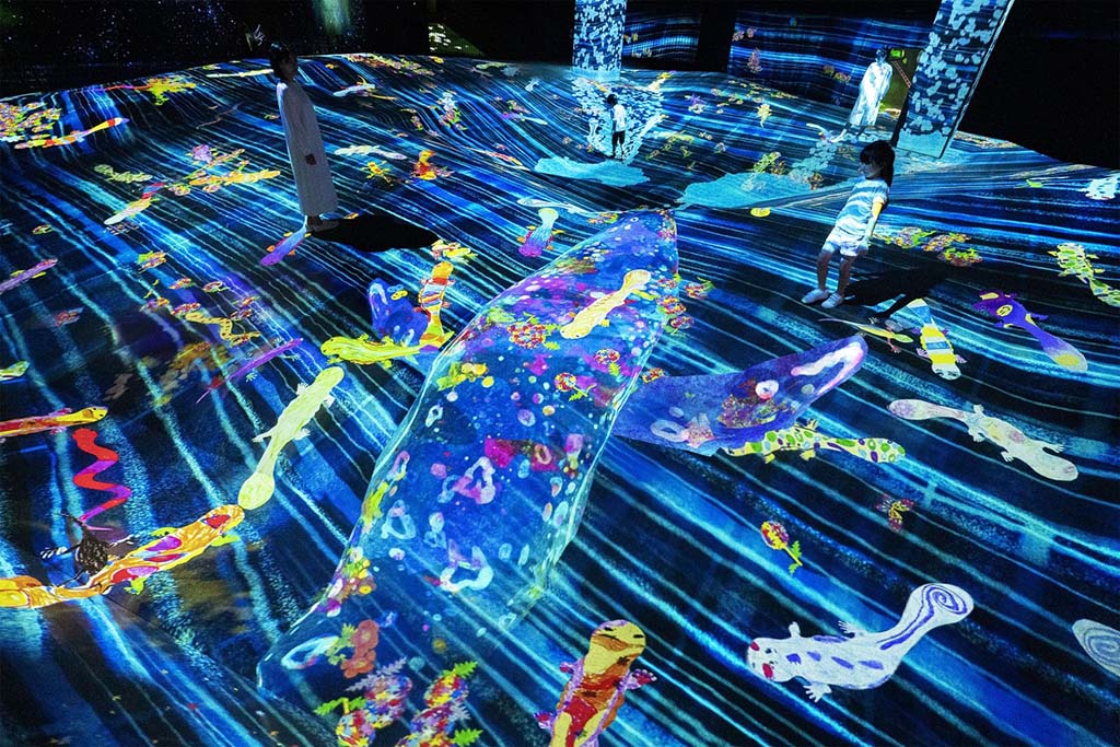 teamLab Future Park Okinawa là không gian nghệ thuật kỹ thuật số hiện đại