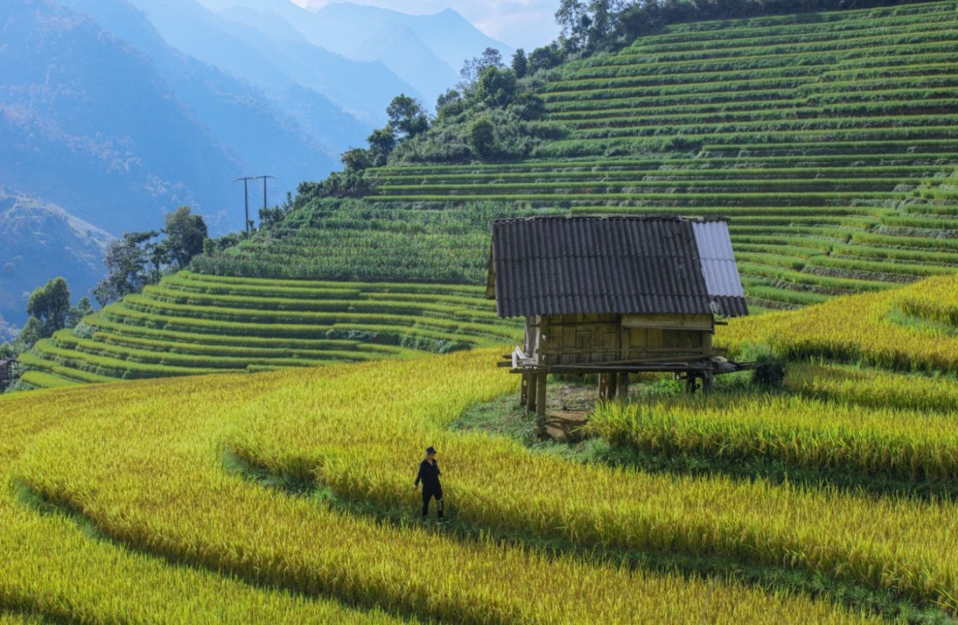 Bản Lao Chải yên bình giữa ruộng bậc thang Sapa