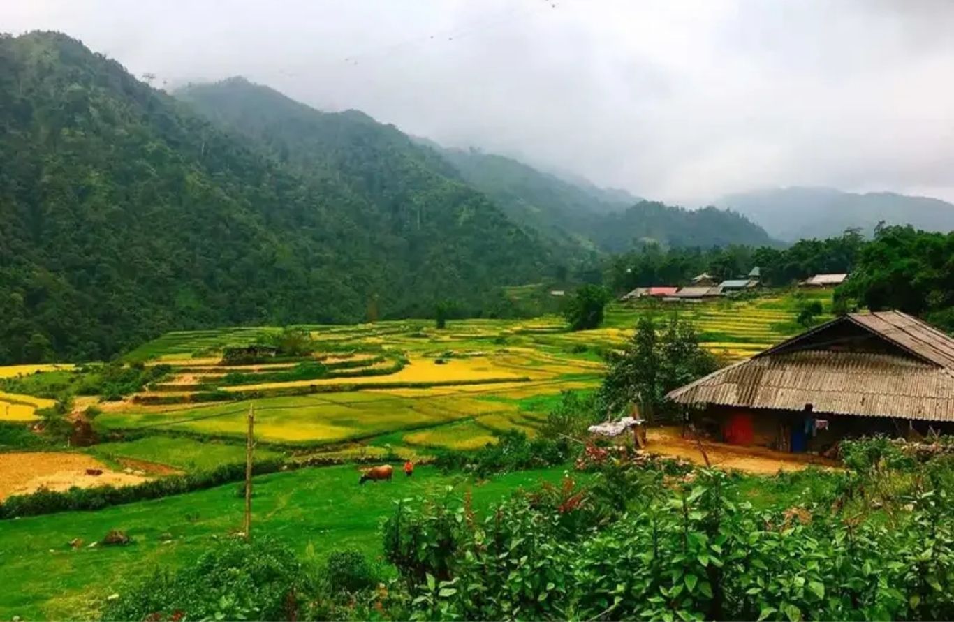Bản Sín Chải mộc mạc dưới chân Hoàng Liên Sơn