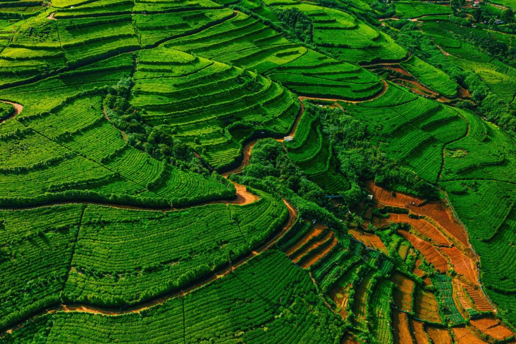 Thành phố Nuwara Eliya 