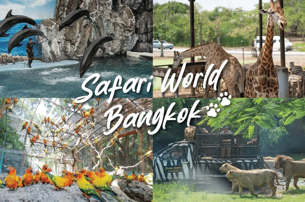 Safari World Bangkok là vườn thú mở ngoài trời lớn nhất và hấp dẫn nhất Thái Lan