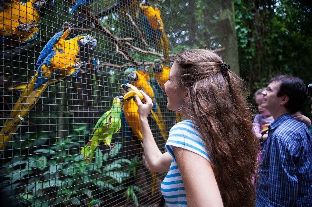Bạn có thể tương tác với các loài chim tại công viên chim Phuket