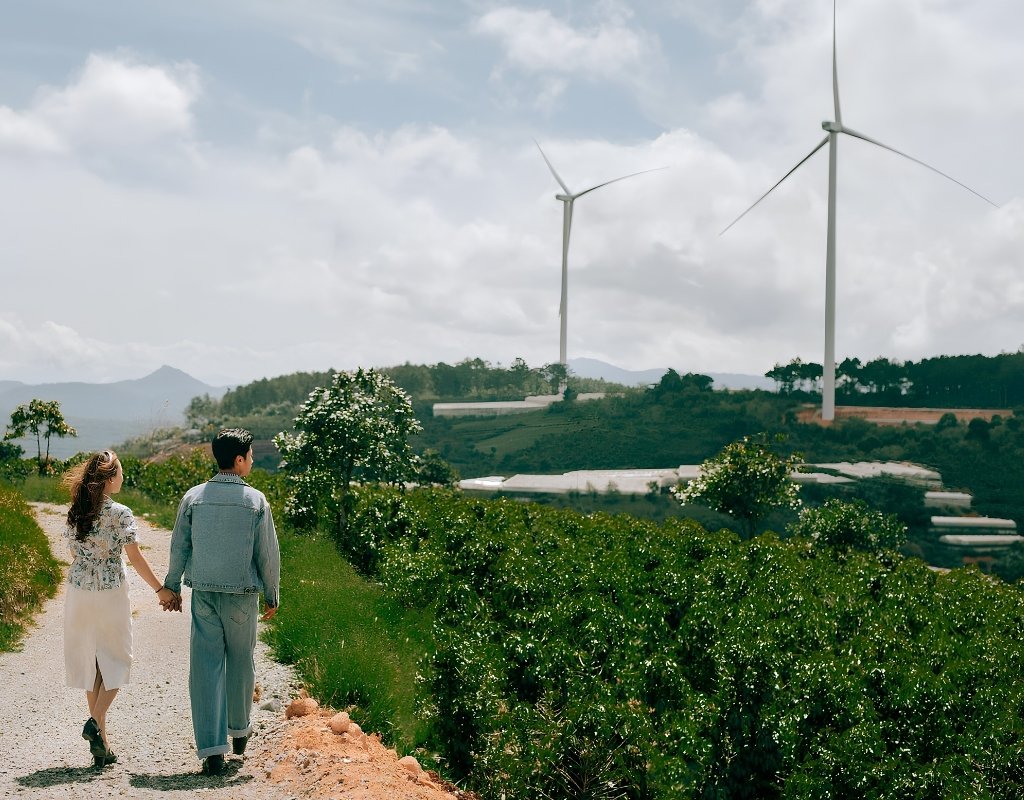 Các trụ turbine điện gió màu trắng nổi bật giữa những luống chè xanh tại Đồi chè Cầu Đất, Đà Lạt.