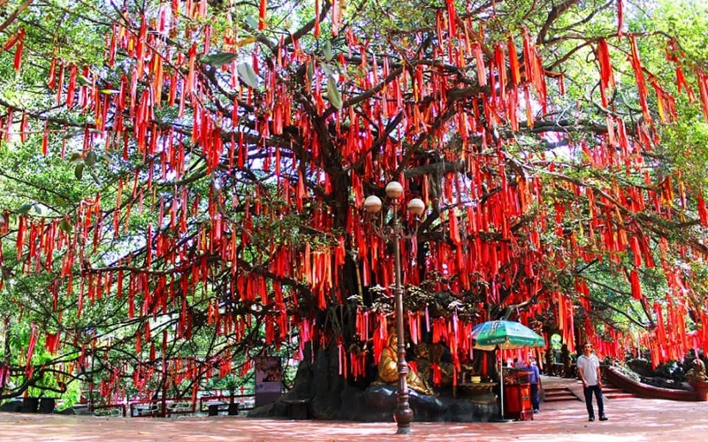 Cây nguyện ước tình yêu phủ dải vải đỏ