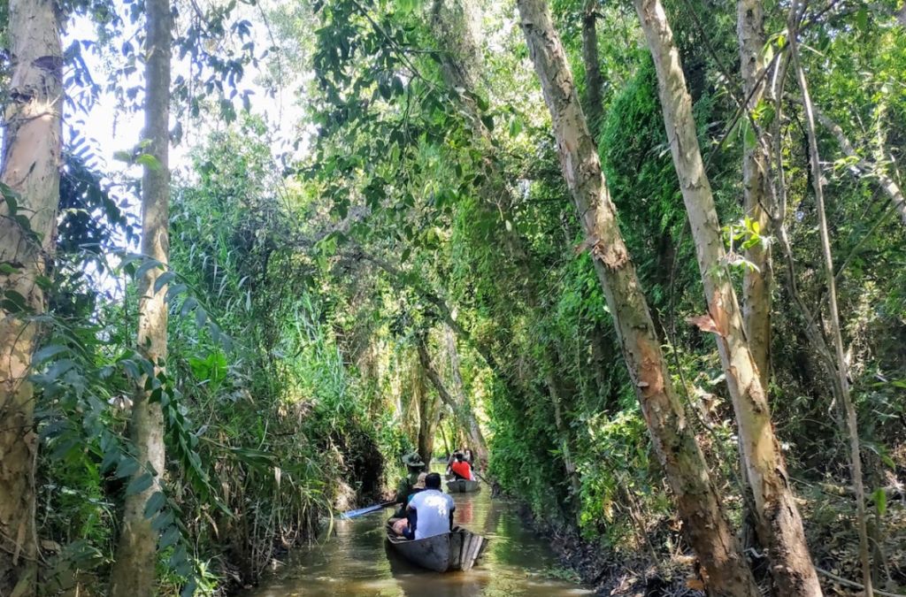 Xuồng nhỏ len qua con rạch dưới tán rừng Xẻo Quýt
