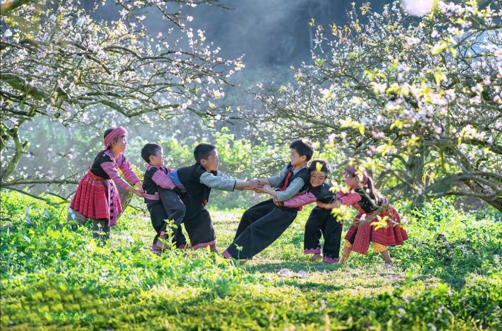 Đồi chè xanh tại cao nguyên Mộc Châu