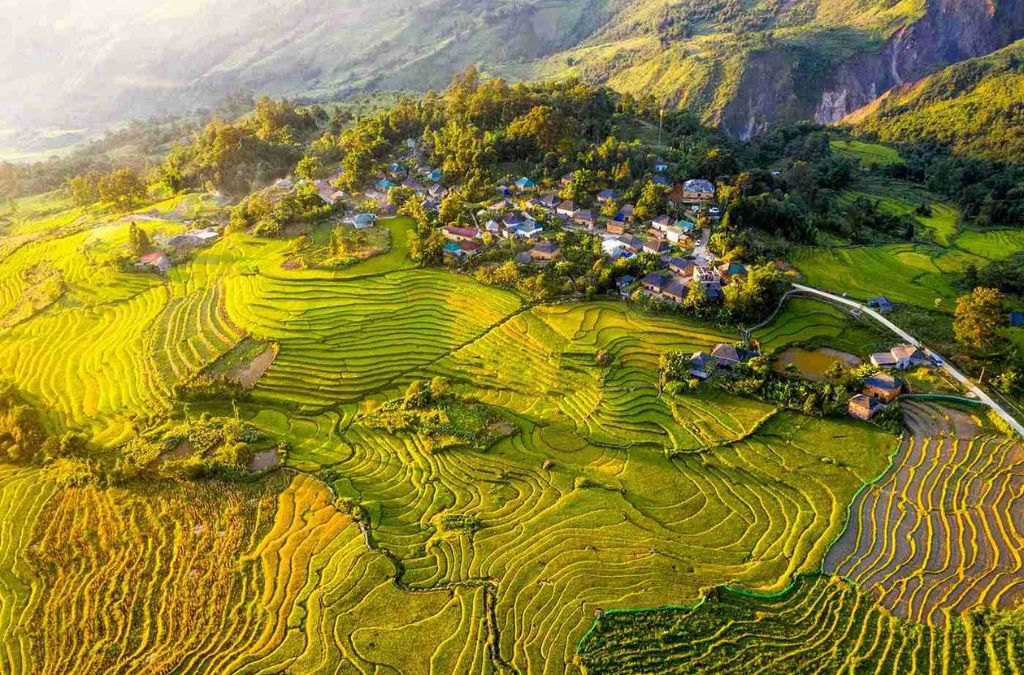 Ruộng bậc thang mùa lúa chín tại Y Tý