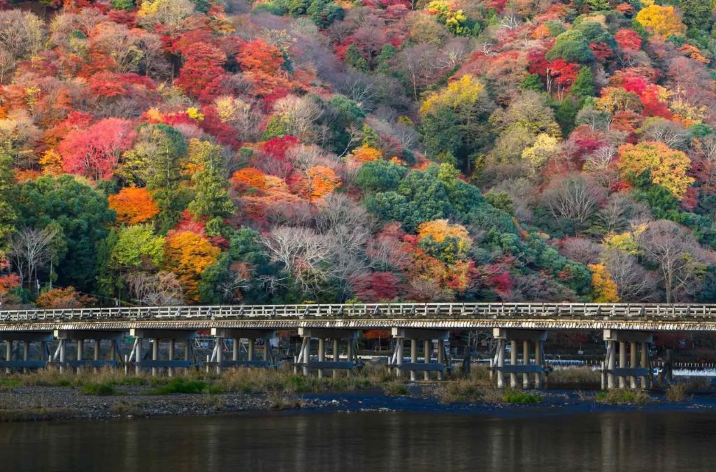 Cầu Togetsukyo dưới sườn núi mùa thu Arashiyama