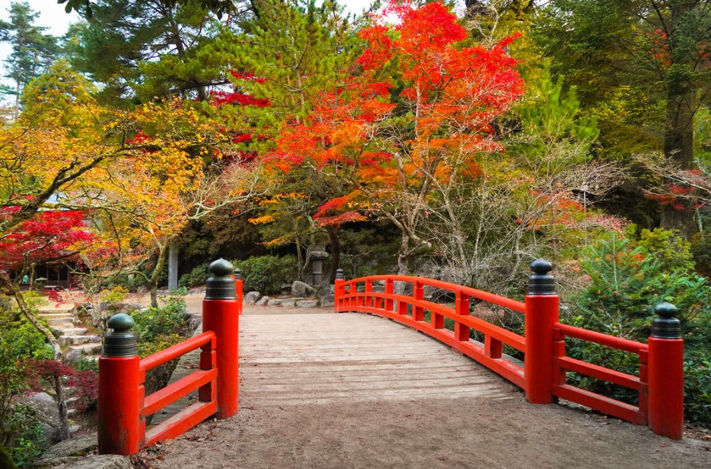 Cầu đỏ giữa rừng phong tại Đảo Miyajima