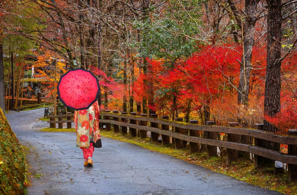 Người cầm ô đỏ đi giữa rừng thu tại Kurokawa Onsen