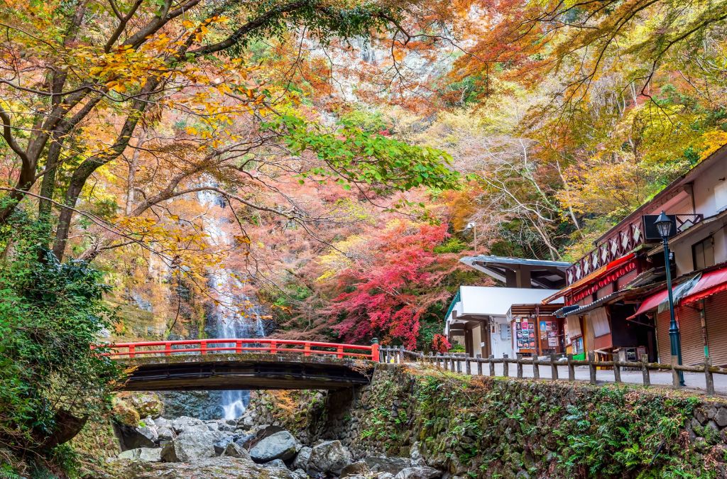 Cầu đỏ bên dòng suối giữa rừng thu Kansai