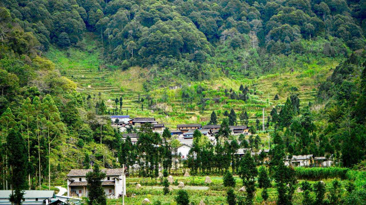 Du lịch Phố Cáo Hà Giang – Chiêm ngưỡng nét đẹp hoang sơ của xứ Đồng Văn