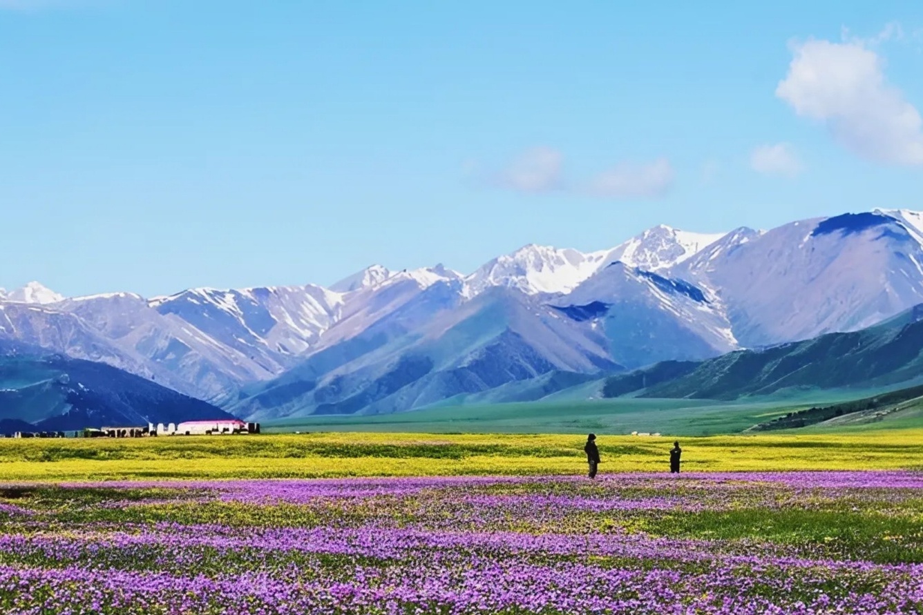 Tân Cương