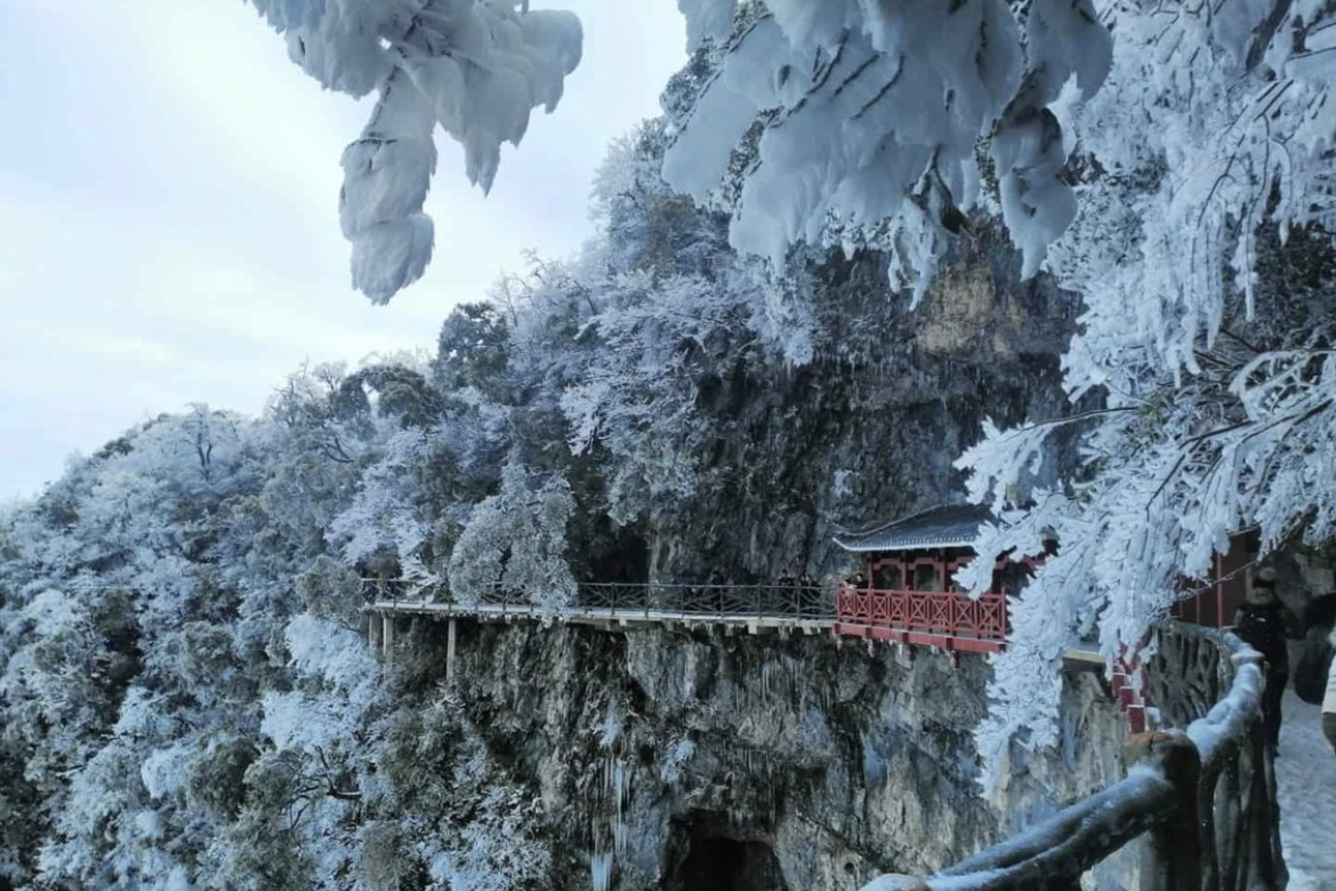 Trương Gia Giới