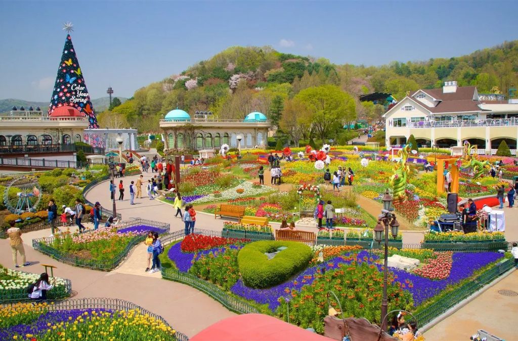 Khu vườn hoa nhiều màu sắc trong công viên Everland Hàn Quốc