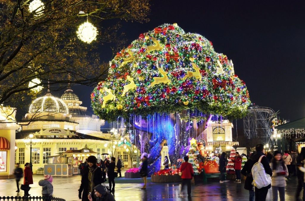 Magic Tree rực sáng tại khu Global Fair của Everland