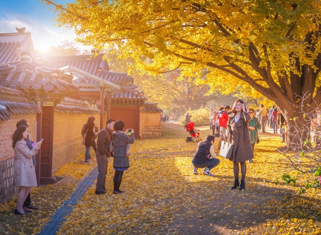 Cách chuẩn bị trang phục đi Everland mùa thu