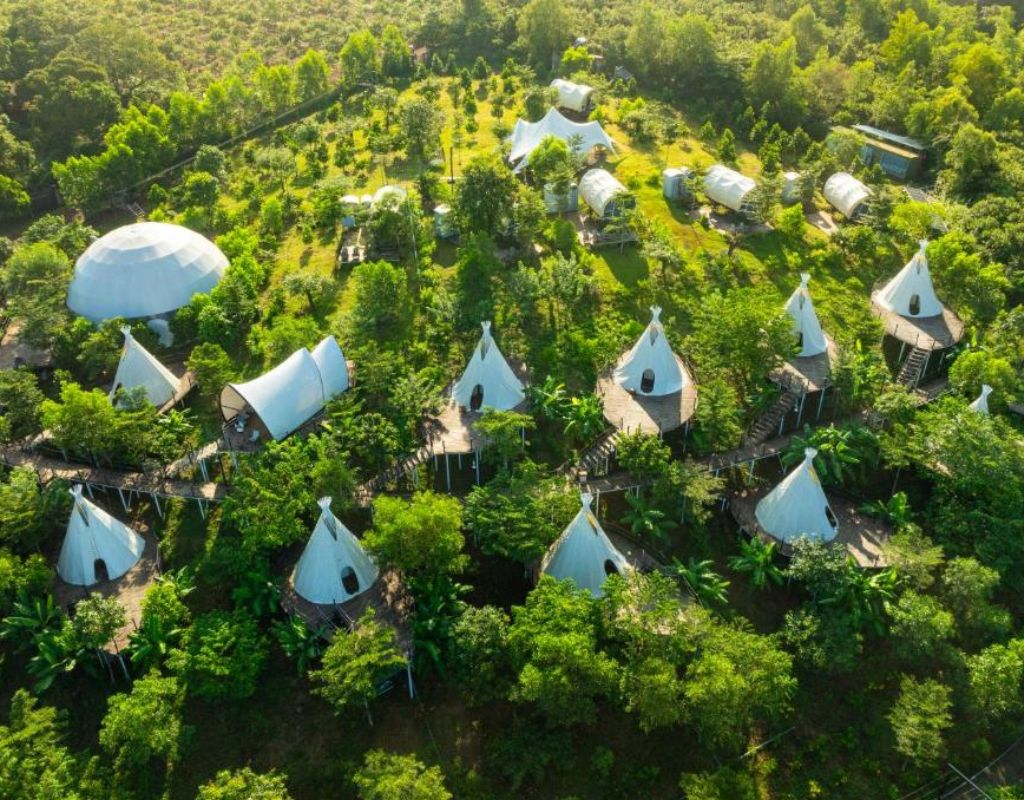 Toàn cảnh Panorama Glamping trên đồi xanh
