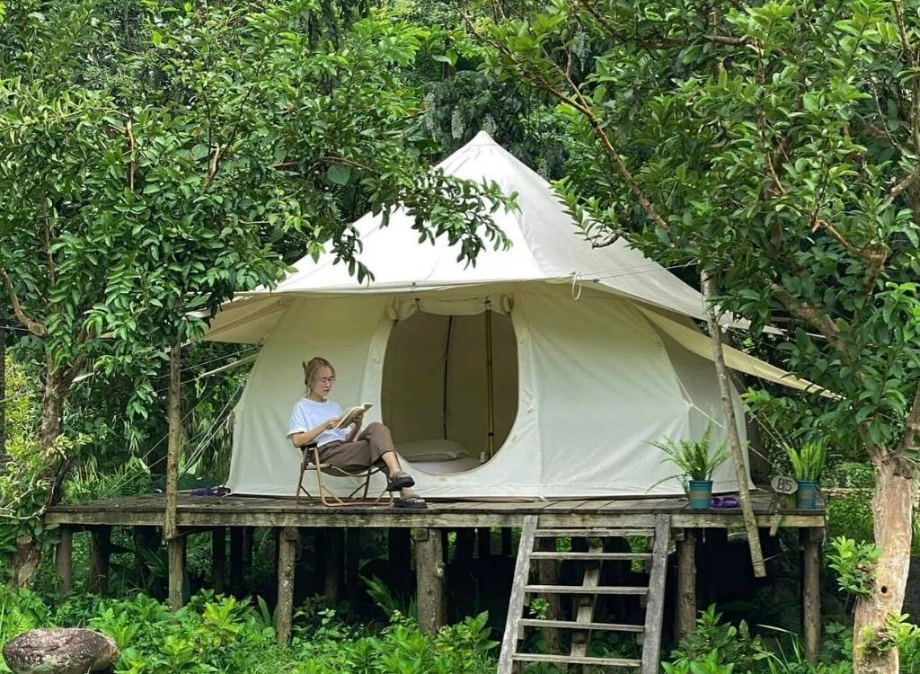 Lều nghỉ giữa cây xanh tại Wecamp Sa Pa