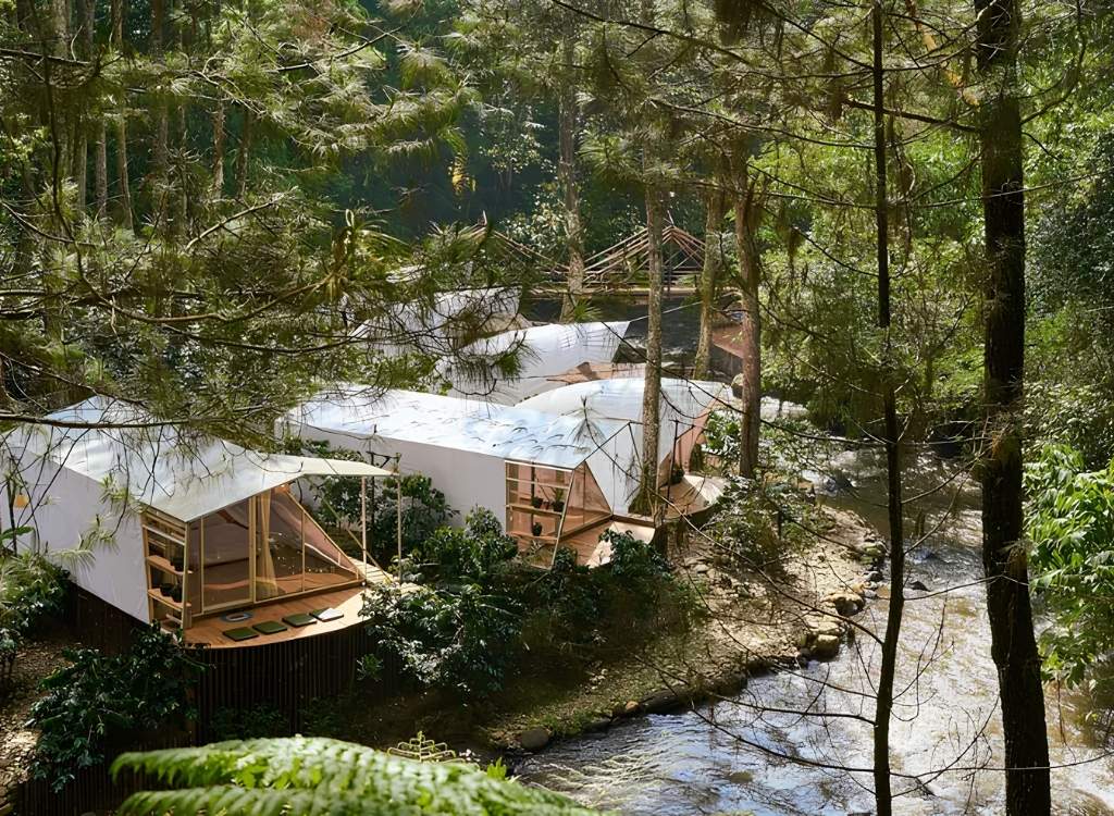 Lều Lux Camp bên suối giữa rừng thông 