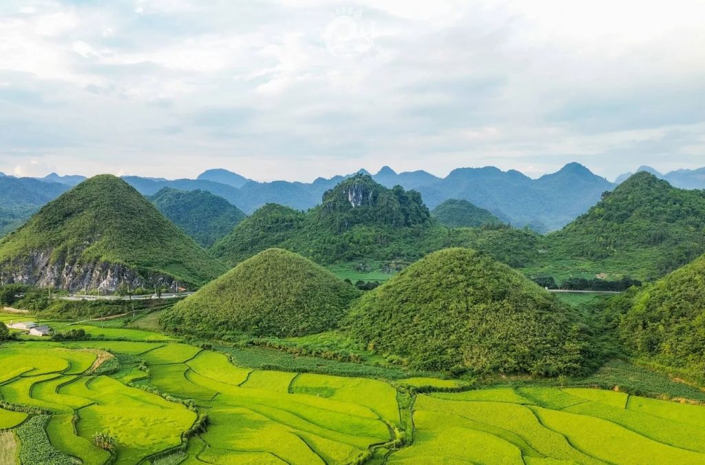 Núi Đôi Quản Bạ gồm hai ngọn núi tròn cân đối nằm giữa những thửa ruộng của thung lũng Quản Bạ. (Ảnh: Sưu tầm)