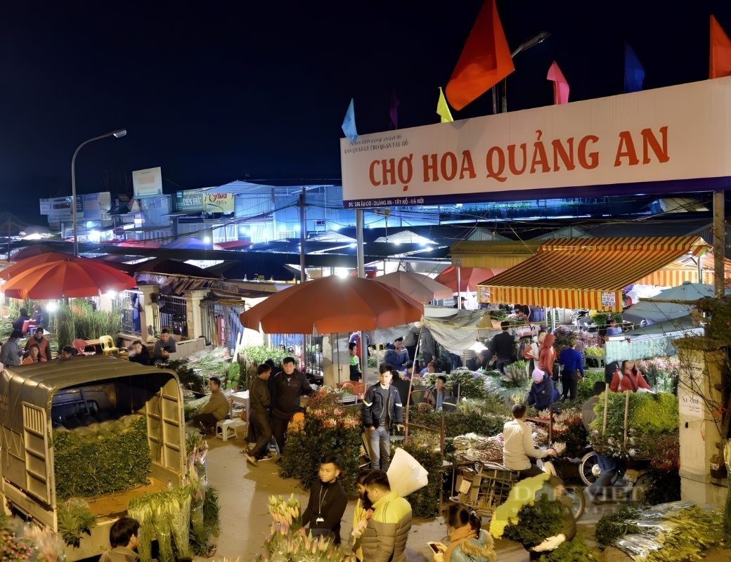 Chợ hoa Quảng An Hà Nội nhộn nhịp về đêm