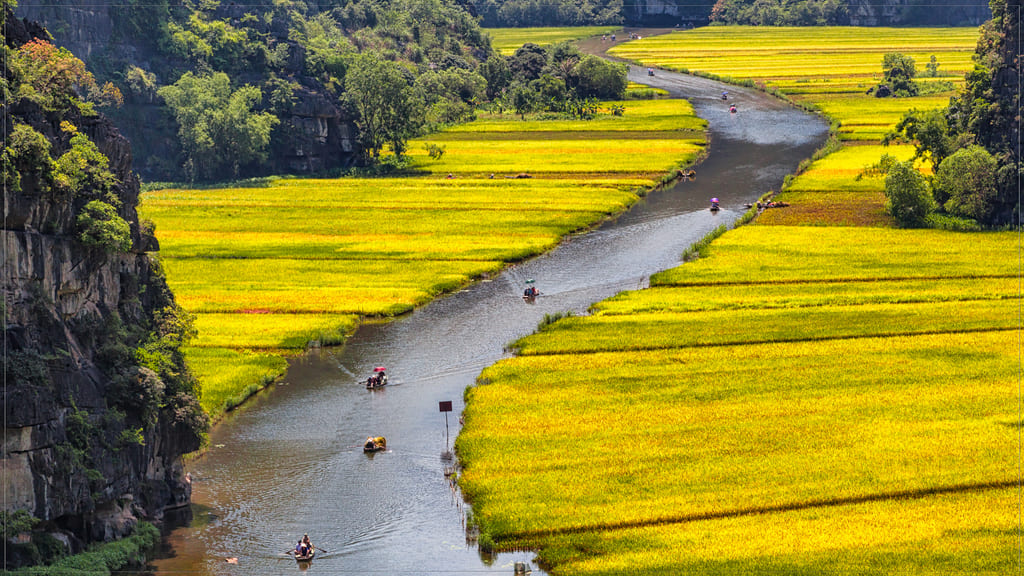 Trải nghiệm mùa lúa chín tại Hang Múa