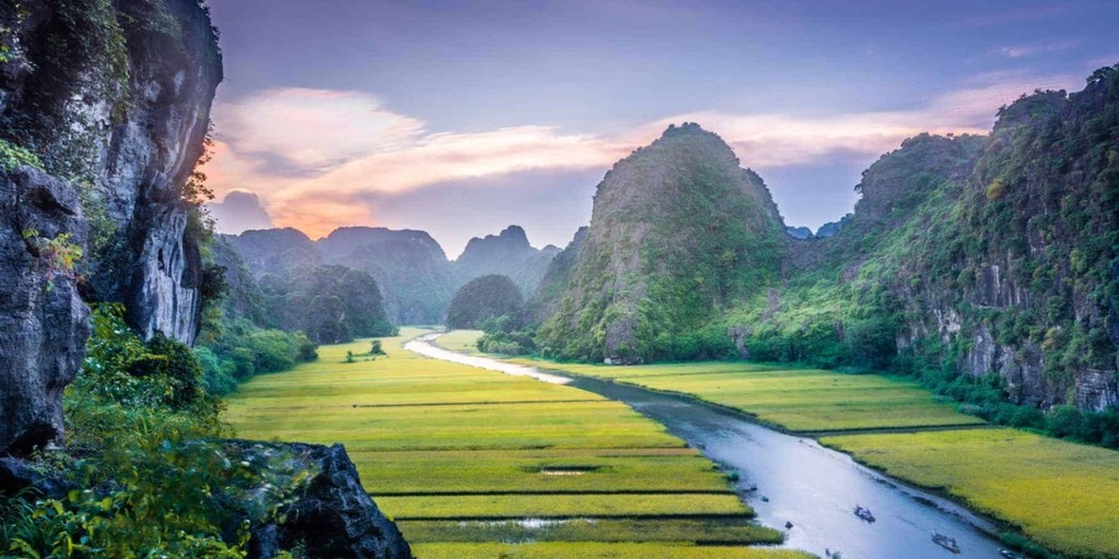 Hang Múa mùa lúa chín đẹp vô cùng