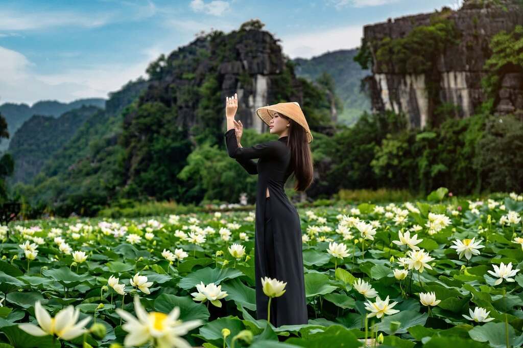 Hang Múa với khung cảnh đầm sen đẹp rực rỡ