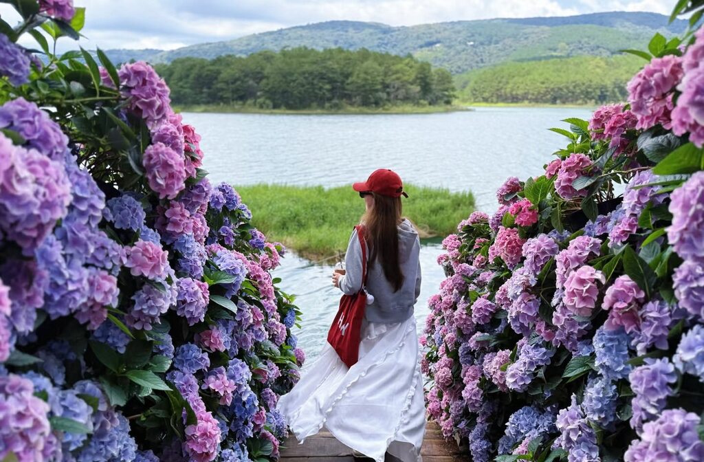 buổi sáng tại happy hills đà lạt