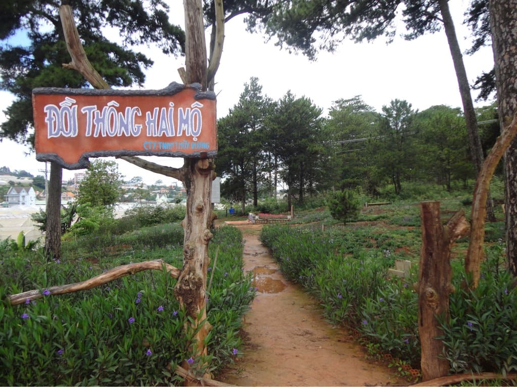 Khu vực lối vào Đồi thông Hai Mộ 