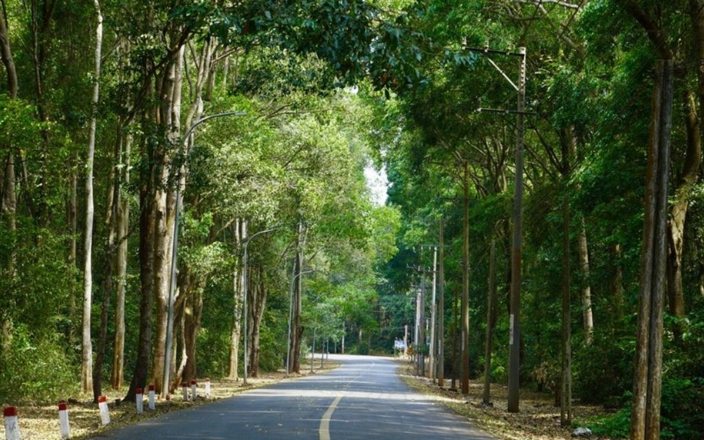 Rừng Bình Châu Phước Bửu 