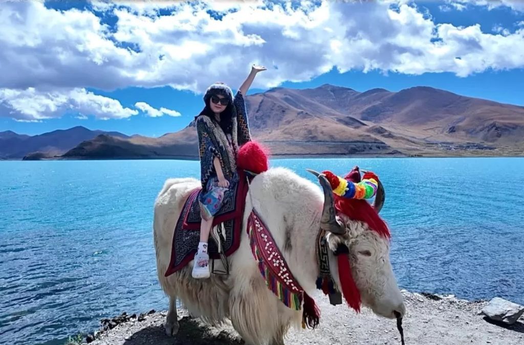 check-in cùng bò yak tại hồ yamdrok tây tạng