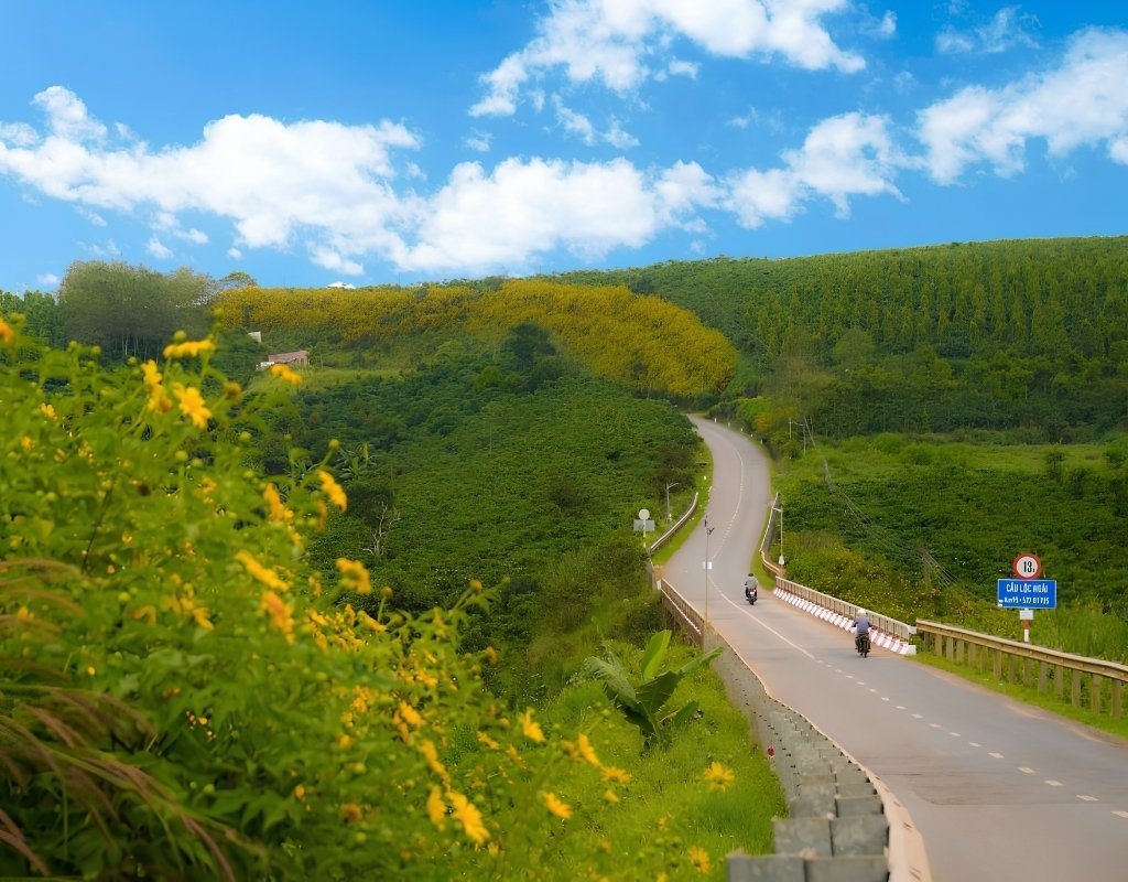 Hoa dã quỳ trên đường Vạn Thành - Đèo Tà Nung - Thác Voi.