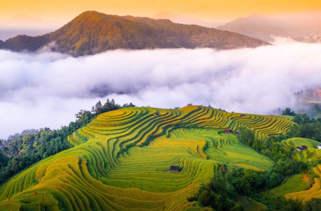 Cảnh mây phủ trên ruộng bậc thang Hoàng Su Phì Hà Giang.