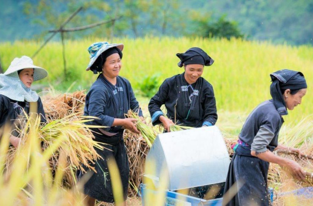 Người La Chí canh tác ruộng bậc thang trên sườn núi ở Bản Phùng, Hoàng Su Phì.
