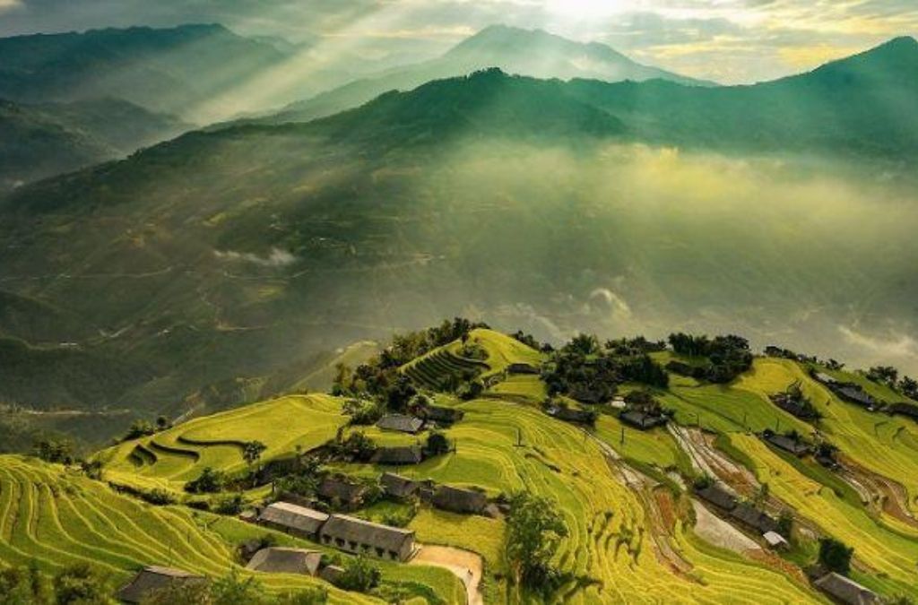 thung lũng thông nguyên