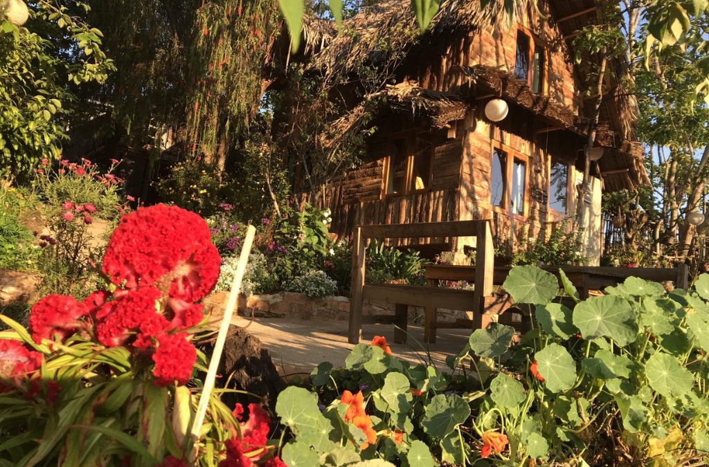 Ngôi nhà gỗ tại Củi Homestay giữa những khóm hoa đỏ