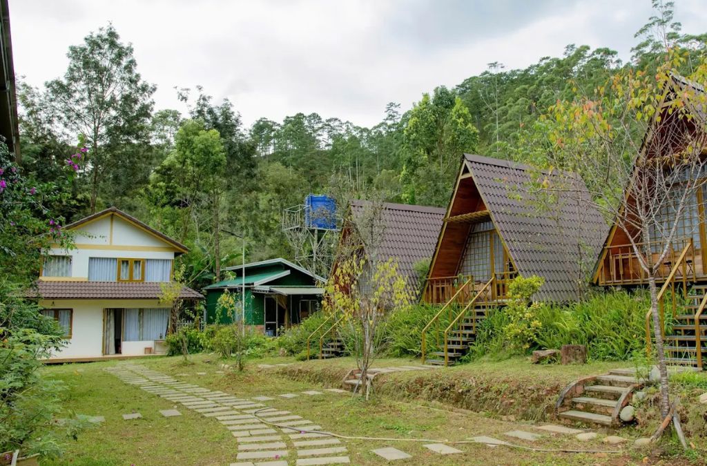 Những căn nhà mái dốc tại Đồi Lát Homestay giữa rừng thông
