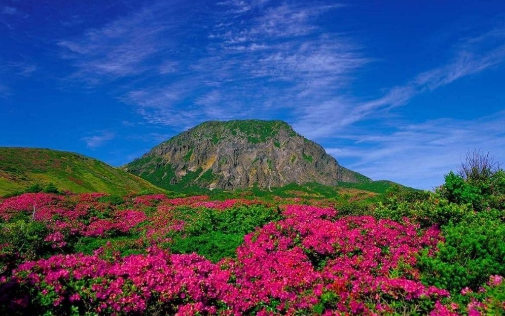 Trekking trên núi Hallasan tại Jeju