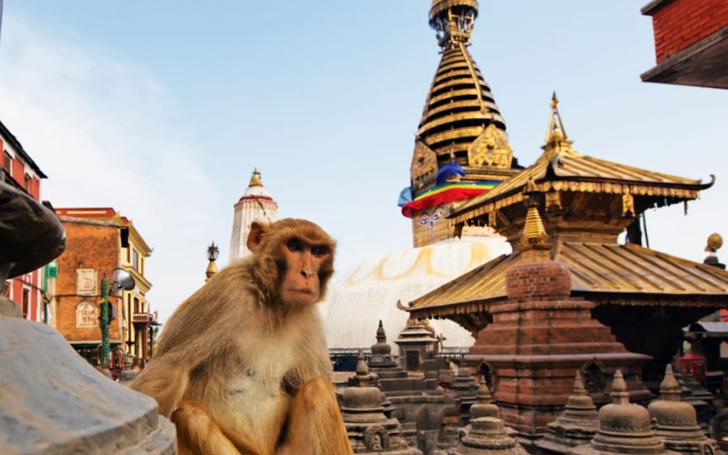 Đền Swayambhunath Kathmandu