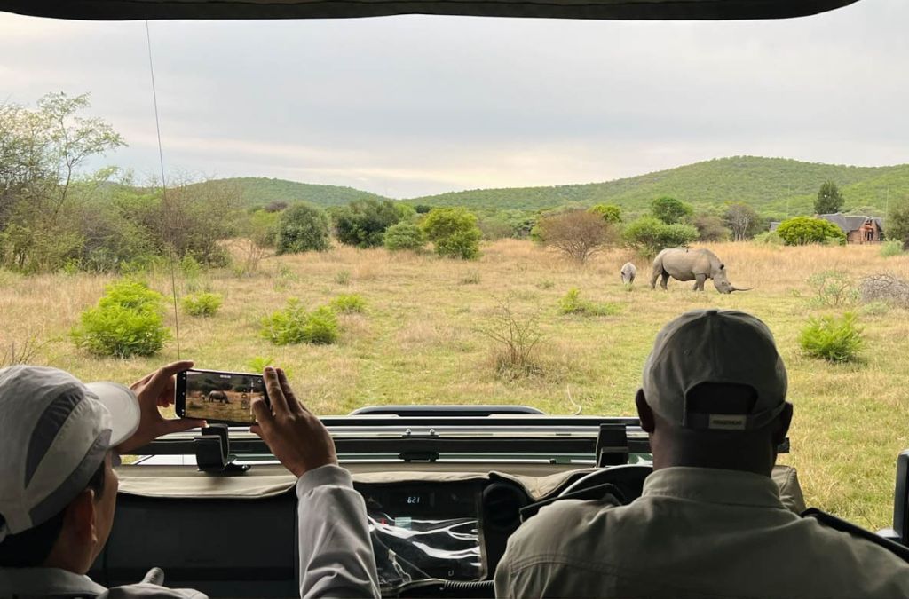 Quan sát tê giác tại kenya