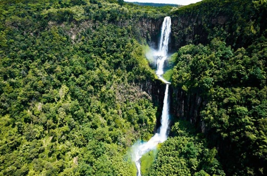 Aberdare National Park tại Kenya